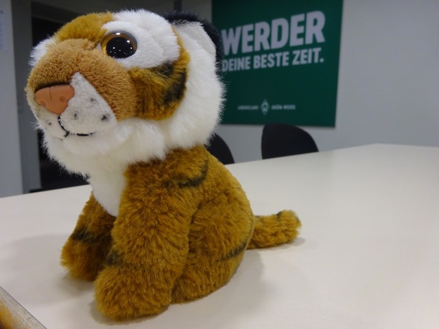 werdertigers